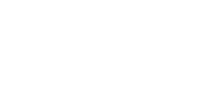 logo safetica